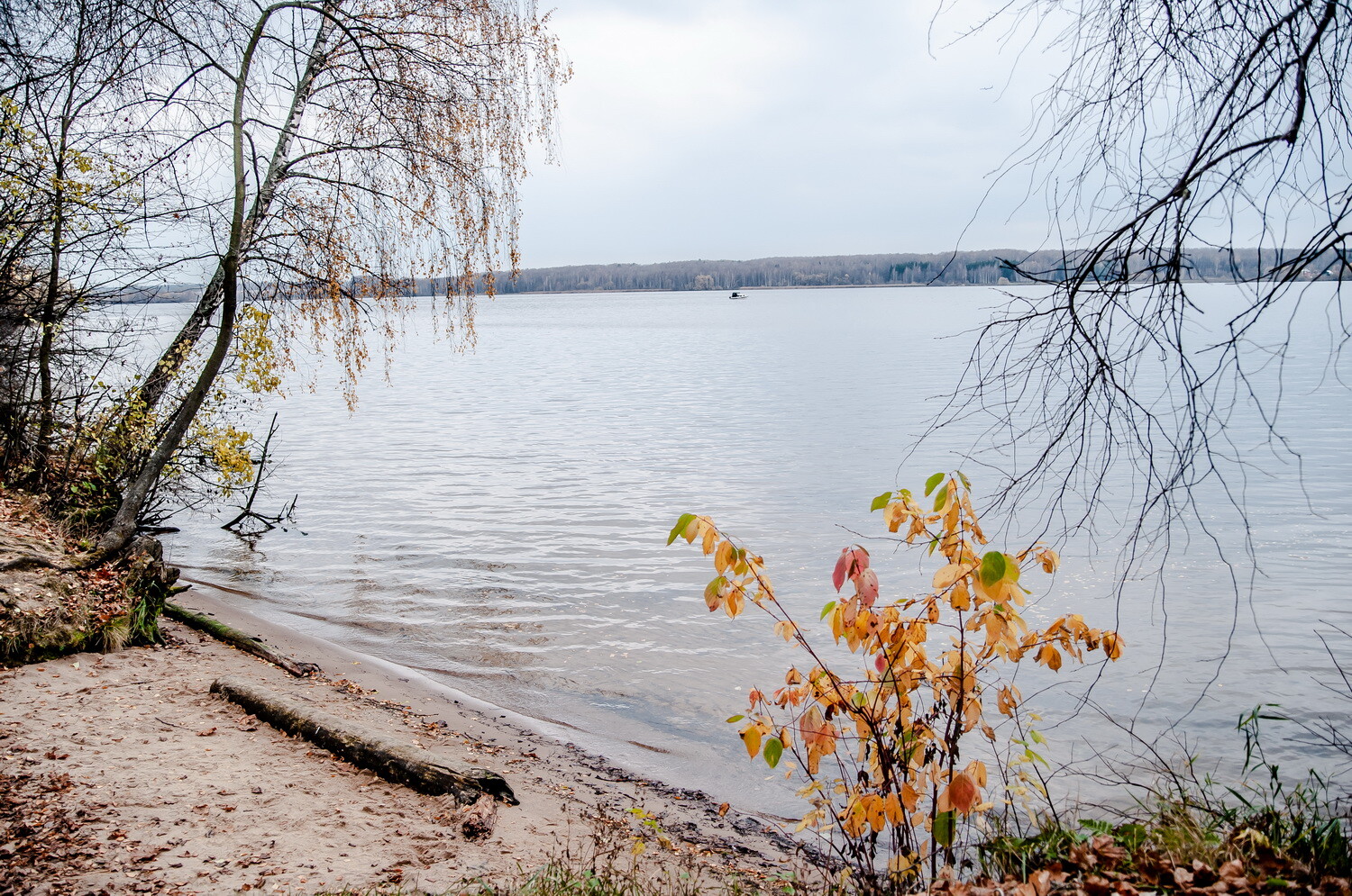 Виды Клязьминского водохранилища