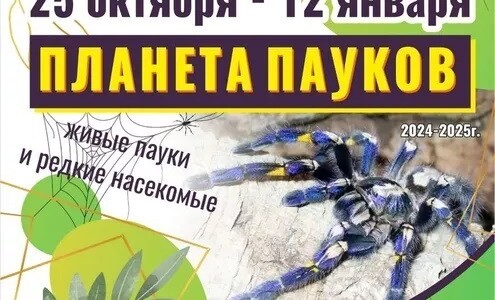 Выставка «Планета пауков»