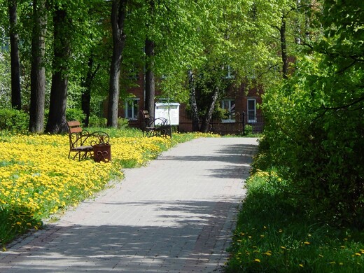 Городской парк культуры и отдыха Павловского Посада