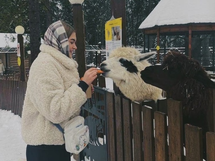 Сафари-парк в «Изумрудном лесу»