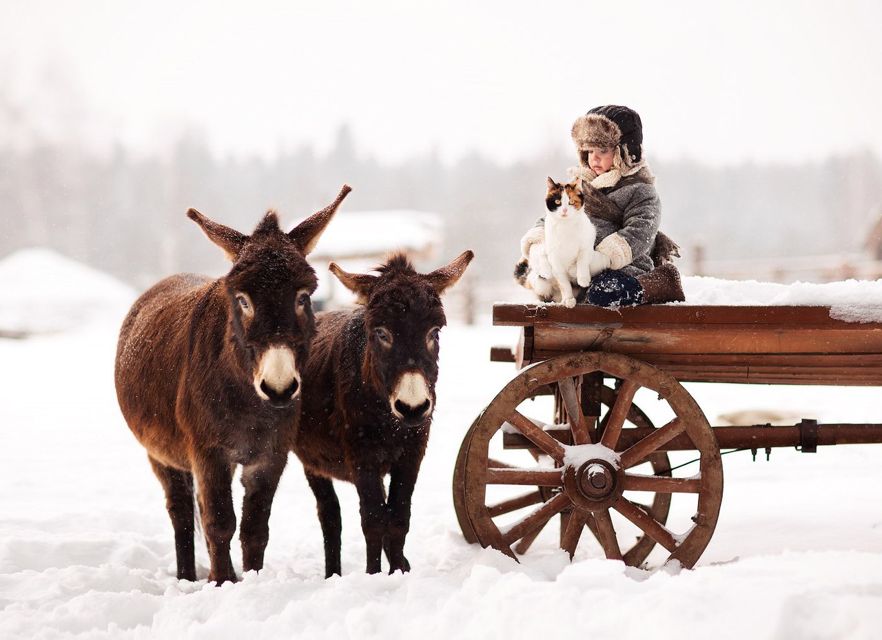 Фотосессия в этнопарке «Кочевник» 